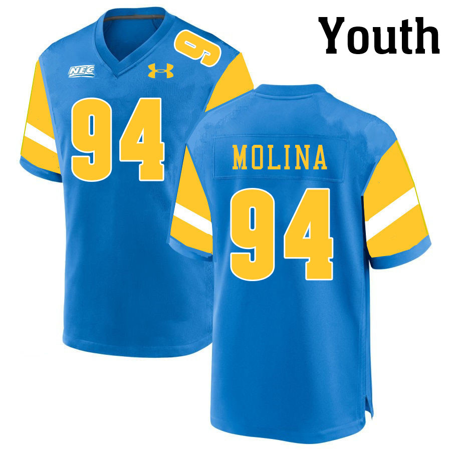 Youth #94 Matthew Molina Long Island University Sharks College Football Jerseys Stitched-Blue